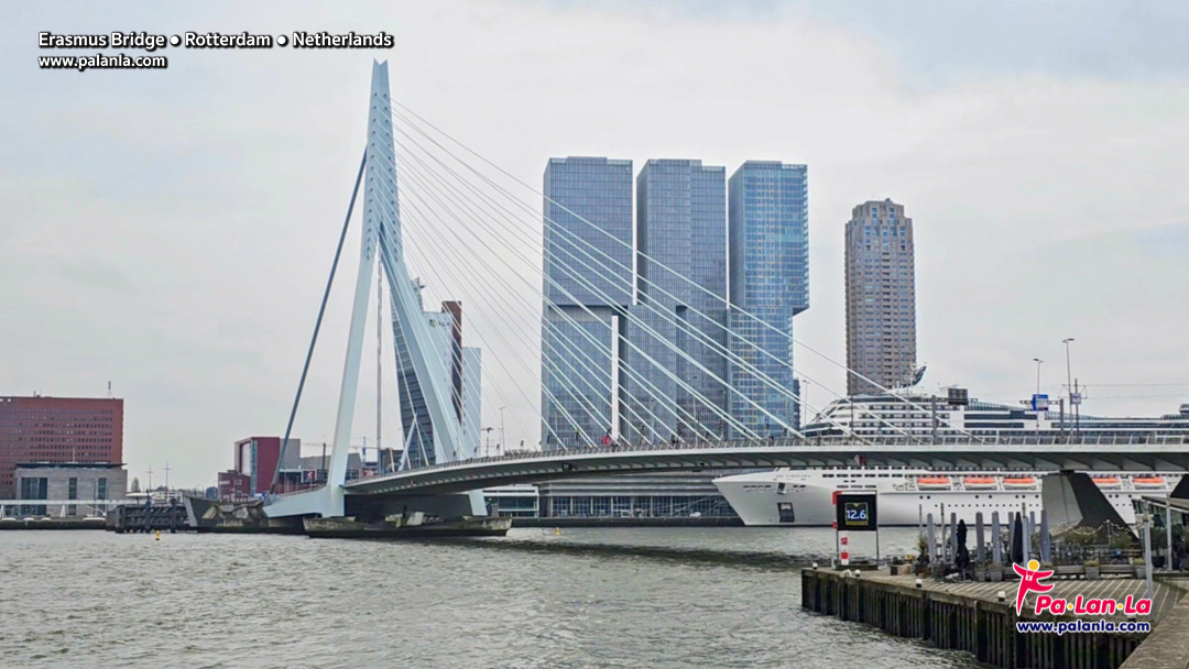 Erasmus Bridge